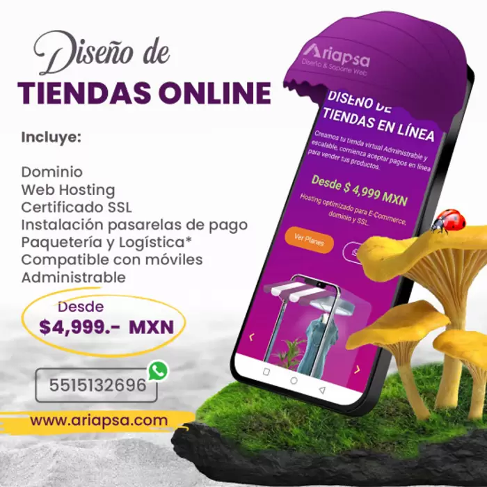 Diseño de  tiendas online Monterrey por Ariapsa, Monterrey -