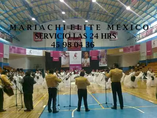 Mariachis serenatas urgentes | 45980436 | iztapalapa mariachis para serenatas urgentes iztapalapa df